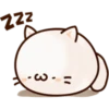 White Cat 29
