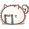White Cat 30