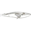 OH WHALE 24