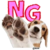 THE DOG 🐶 7