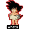 what's