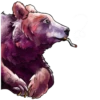 Bear @boro64 5