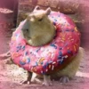 Capybara Are My Life 6
