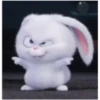 Tierno 5