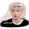 stray  kids 5