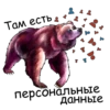 Bear @boro64 7