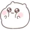 Mochi hamster 🐹 10