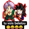 tu vois belelou XD S