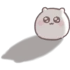 Mochi hamster 🐹 11