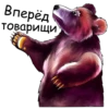 Bear @boro64 9