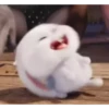 Tierno 11