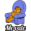 Garfield 8