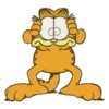 Garfield 9