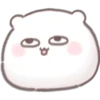 Mochi hamster 🐹 13