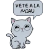 Pelea 11