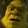 shrek 6