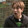 kpop 9