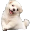 Tierno 14