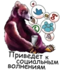 Bear @boro64 10