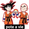 pote a vie