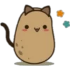 Potato 13