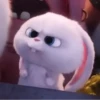 Tierno 15