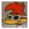 Pelea 13