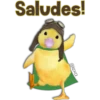 Mascotas maravilla 🌠🐹🐢🐤🌠 7
