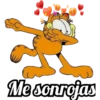 Garfield 13