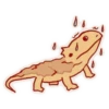 Cute Bearded Dragons 7