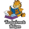 Garfield 14