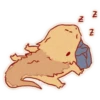 Cute Bearded Dragons 8