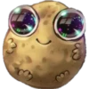 Potato 17