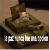 Pelea 18