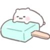Mochi hamster 🐹 19