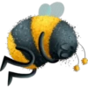 Abejita🐝Zamboor 13