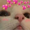 Memes 20
