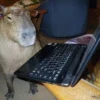 Capybara Are My Life 22