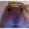 Si lees esto me debes un beso 21