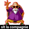 slt la compagnie