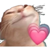 Memes 21