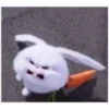 Tierno 16