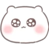 Mochi hamster 🐹 23