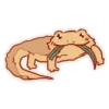 Cute Bearded Dragons 11