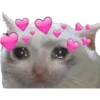 Memes 23