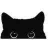 Tierno 20