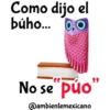 Alebrijes - Stickers para whatsapp 14