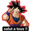 15 salut a tous !!