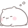 Mochi hamster 🐹 25