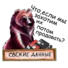 Bear @boro64 13